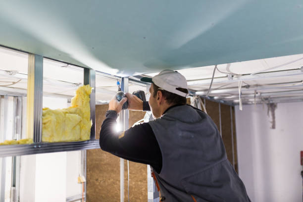Best Specialized Insulation Services in Tierra Verde, FL