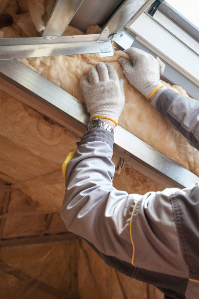 Best Insulation Maintenance and Repair in Tierra Verde, FL