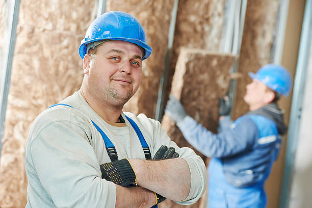 Best Eco-Friendly Insulation in Tierra Verde, FL