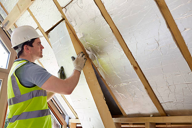 Best Spray Foam Insulation in Tierra Verde, FL