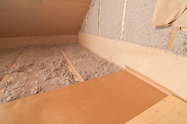 Best Residential Insulation in Tierra Verde, FL